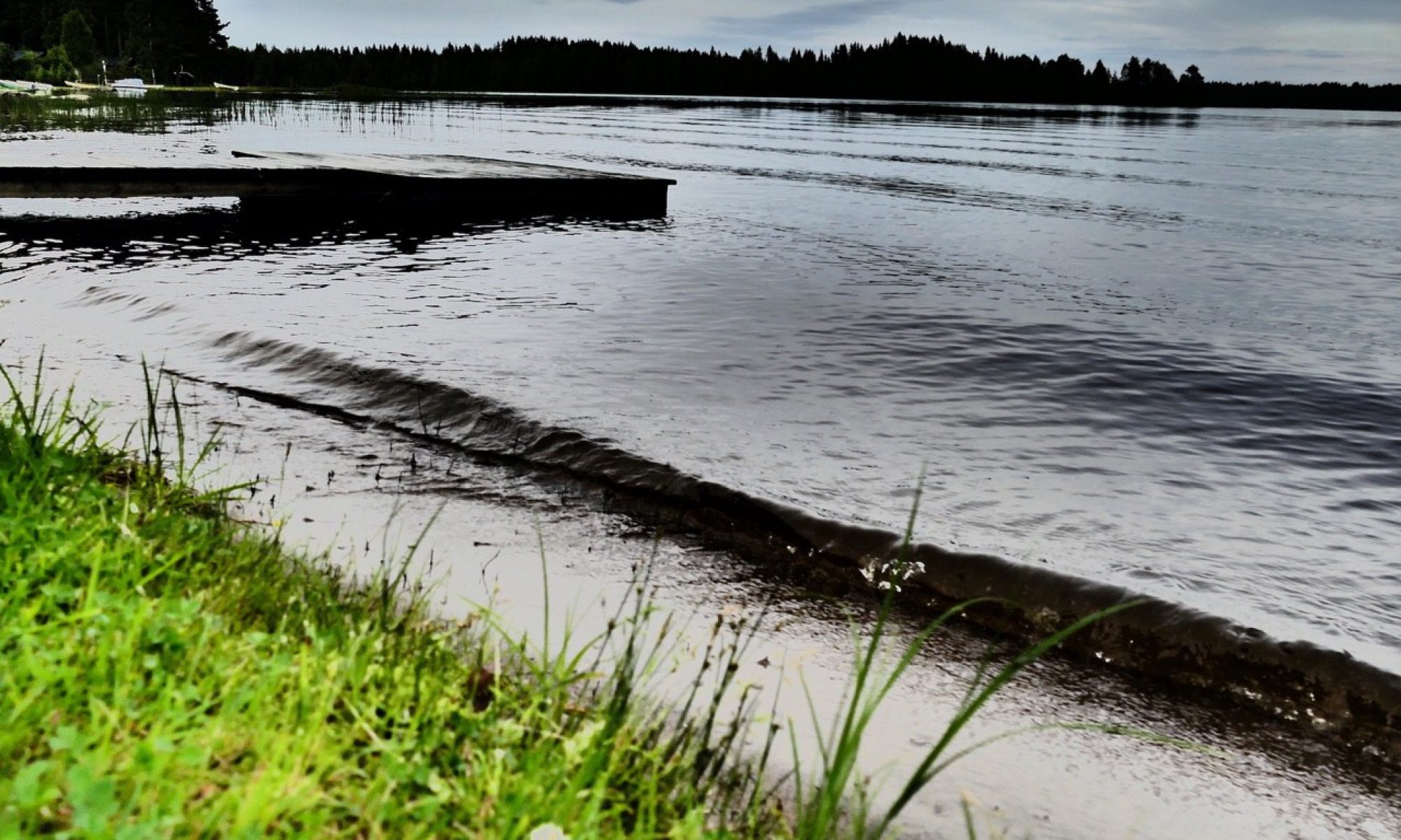 Nordic Ecobusiness Centre | нордик экобизнес центр | RETTSHJELPER GRADISLAVA EGOROFF 